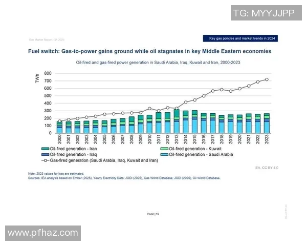 全球挑战赛特别报道LNG技术创新与市场变革的历程探讨