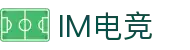 IM(股份有限公司)电竞-电子竞技平台